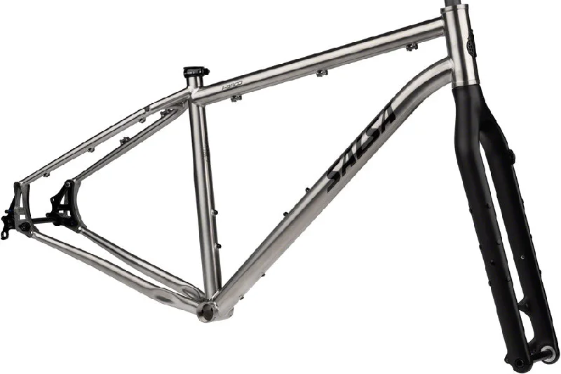 Salsa Fargo Ti Frameset - Raw